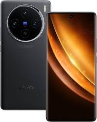 Vivo X100 Back Cover