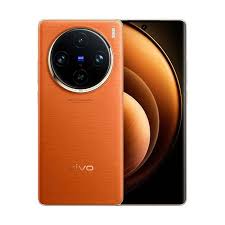 Vivo X100 Pro Back Cover