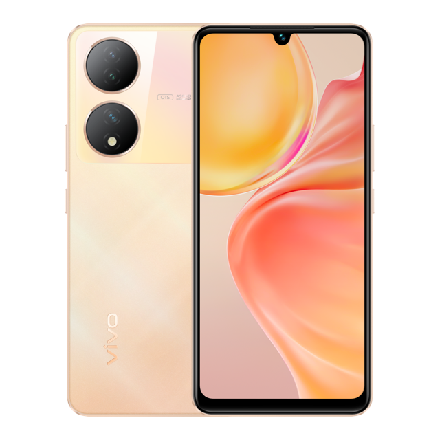 Vivo Y100 Back Cover