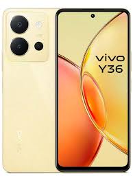 Vivo Y36 Back Cover