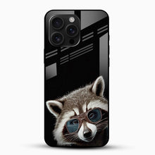 The Racoon Glass Case